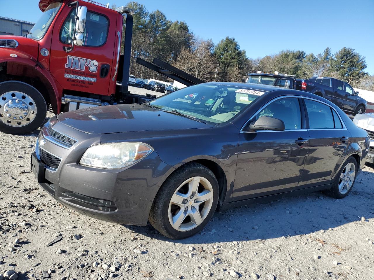 CHEVROLET MALIBU 2010 1g1zb5eb2af263297