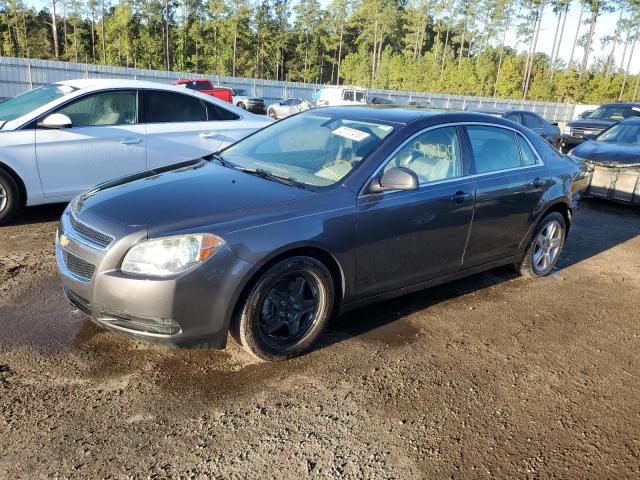 CHEVROLET MALIBU 2010 1g1zb5eb2af263896