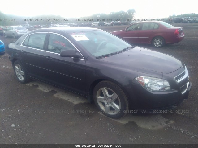 CHEVROLET MALIBU 2010 1g1zb5eb2af315365