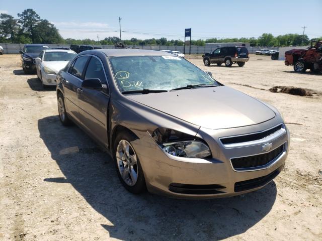 CHEVROLET MALIBU LS 2010 1g1zb5eb3af115319