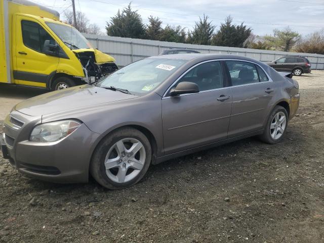 CHEVROLET MALIBU 2010 1g1zb5eb3af196385