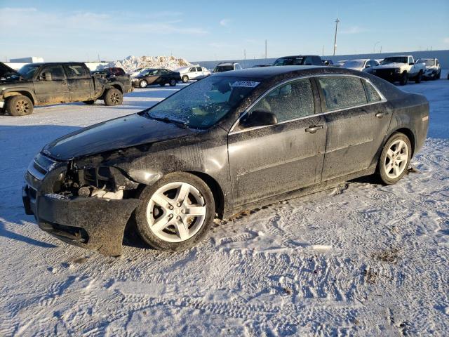 CHEVROLET MALIBU LS 2010 1g1zb5eb3af204503