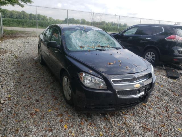 CHEVROLET MALIBU LS 2010 1g1zb5eb3af223245