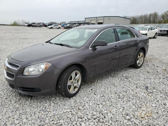 CHEVROLET MALIBU 2010 1g1zb5eb3af237131