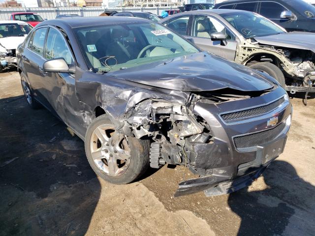 CHEVROLET MALIBU LS 2010 1g1zb5eb3af240952