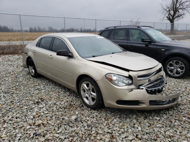 CHEVROLET MALIBU LS 2010 1g1zb5eb3af245231