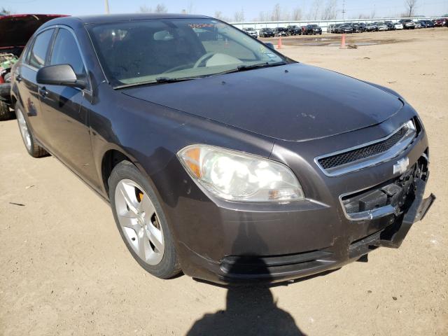 CHEVROLET MALIBU LS 2010 1g1zb5eb3af257380