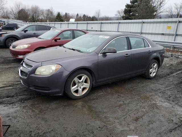 CHEVROLET MALIBU 2010 1g1zb5eb3af263423