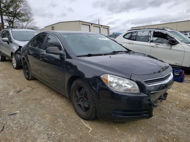 CHEVROLET MALIBU LS 2010 1g1zb5eb3af299225