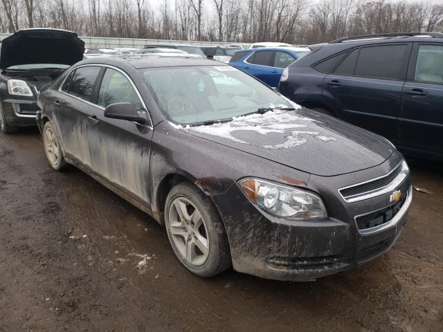 CHEVROLET MALIBU LS 2010 1g1zb5eb3af302186