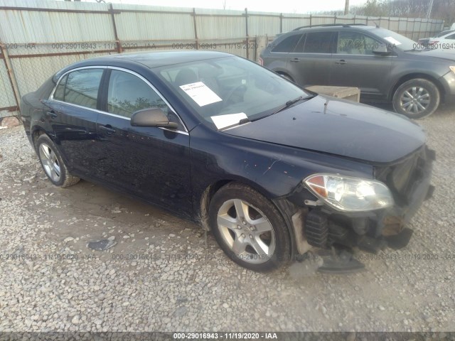 CHEVROLET MALIBU 2010 1g1zb5eb3af312295