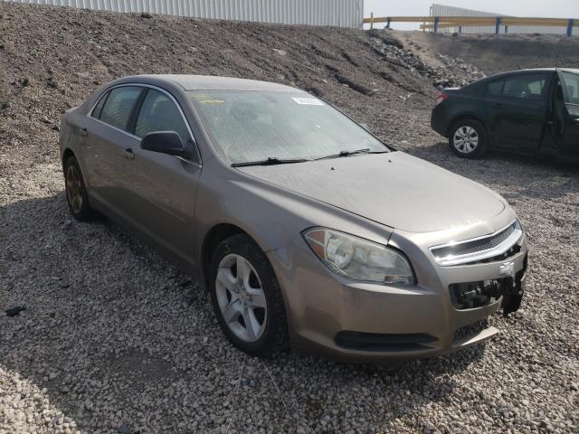 CHEVROLET MALIBU LS 2010 1g1zb5eb4af161953