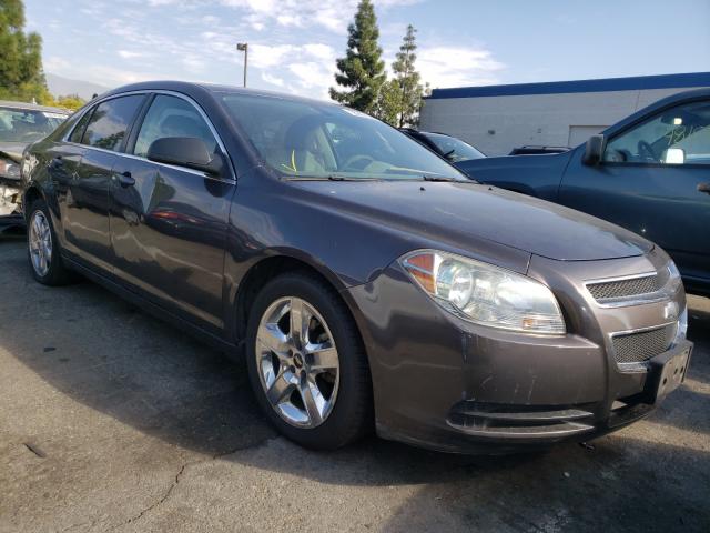 CHEVROLET MALIBU LS 2010 1g1zb5eb4af227580