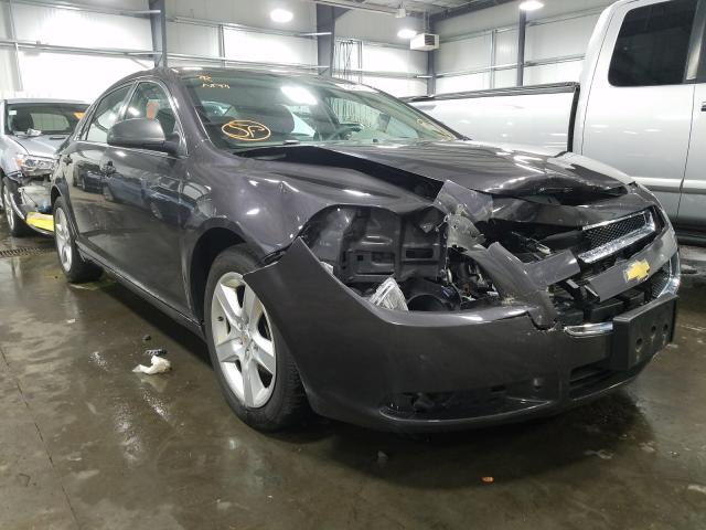 CHEVROLET MALIBU LS 2010 1g1zb5eb4af230012