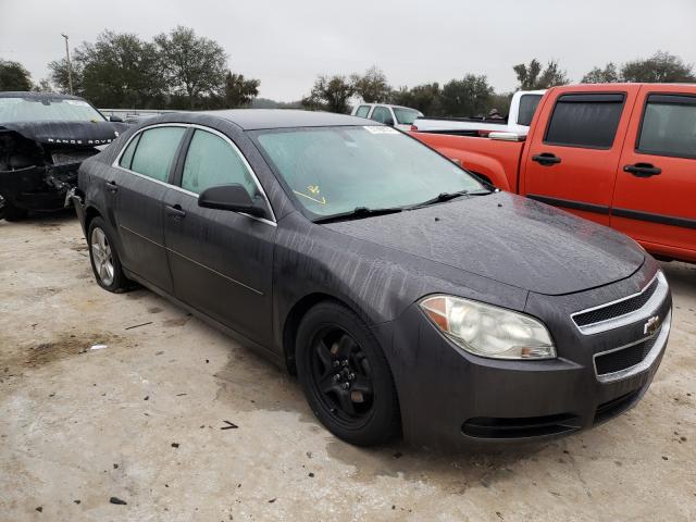 CHEVROLET MALIBU LS 2010 1g1zb5eb4af230124