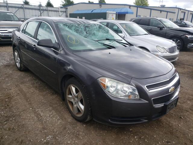 CHEVROLET MALIBU LS 2010 1g1zb5eb4af251006