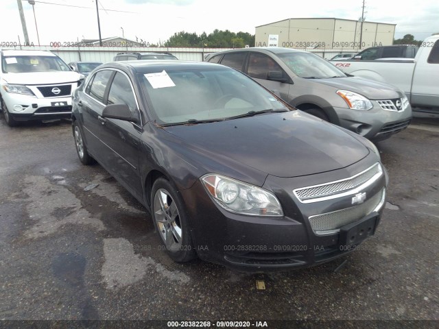 CHEVROLET MALIBU 2010 1g1zb5eb4af300317