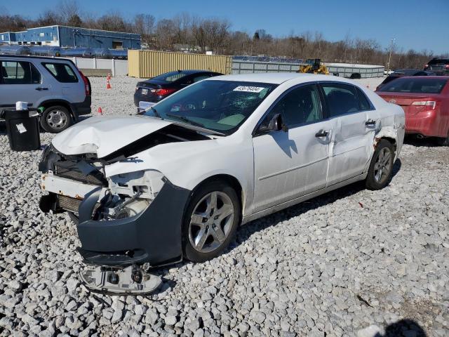 CHEVROLET MALIBU 2010 1g1zb5eb4af302097