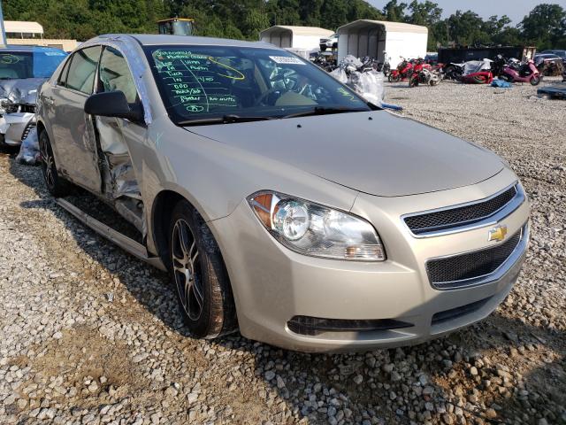 CHEVROLET MALIBU LS 2010 1g1zb5eb4af310975