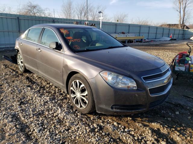 CHEVROLET MALIBU LS 2010 1g1zb5eb5a4126995