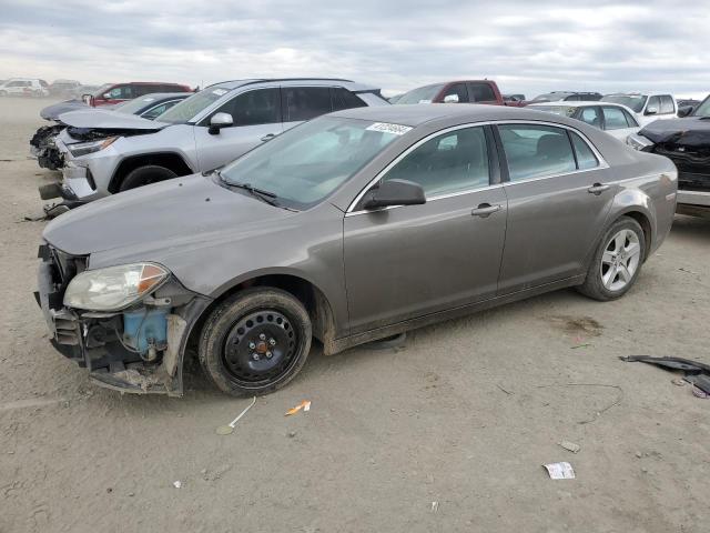 CHEVROLET MALIBU 2010 1g1zb5eb5a4141495