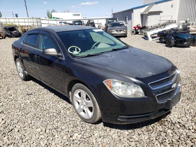 CHEVROLET MALIBU LS 2010 1g1zb5eb5a4142551