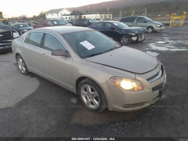 CHEVROLET MALIBU 2010 1g1zb5eb5af113832