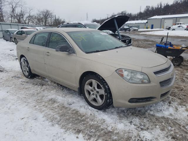 CHEVROLET MALIBU LS 2010 1g1zb5eb5af125916