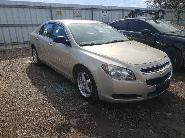 CHEVROLET MALIBU LS 2010 1g1zb5eb5af129982