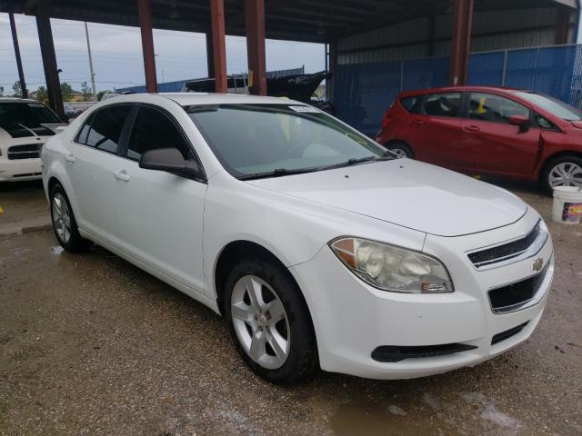 CHEVROLET MALIBU LS 2010 1g1zb5eb5af166255