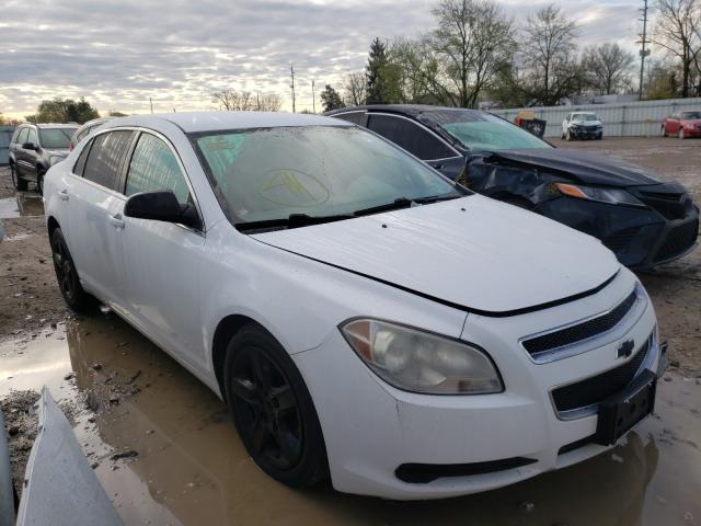 CHEVROLET MALIBU LS 2010 1g1zb5eb5af172024