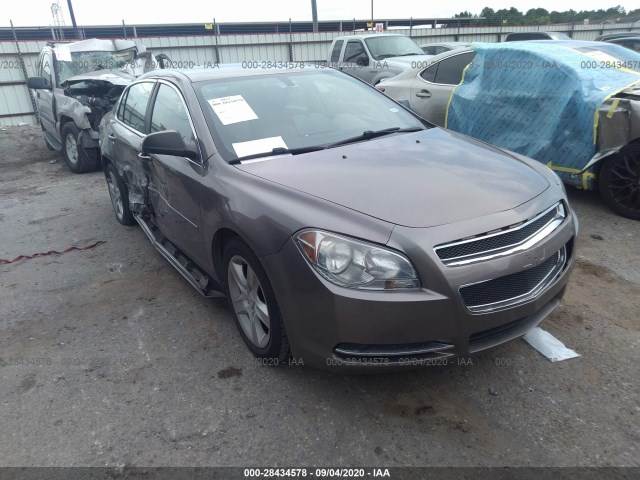 CHEVROLET MALIBU 2010 1g1zb5eb5af217222