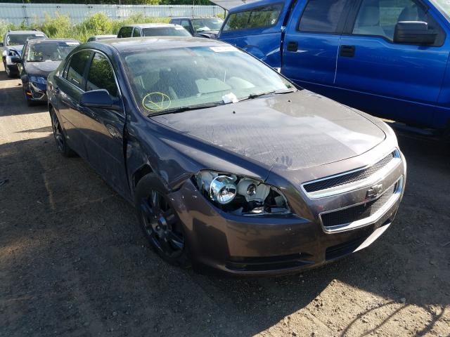 CHEVROLET MALIBU LS 2010 1g1zb5eb5af223442