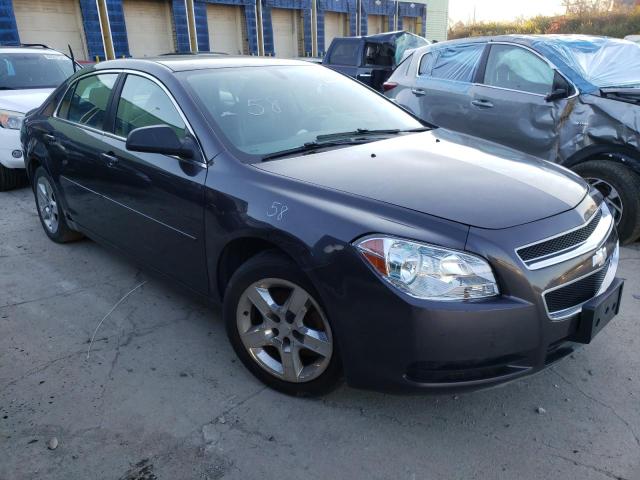 CHEVROLET MALIBU LS 2010 1g1zb5eb5af225448