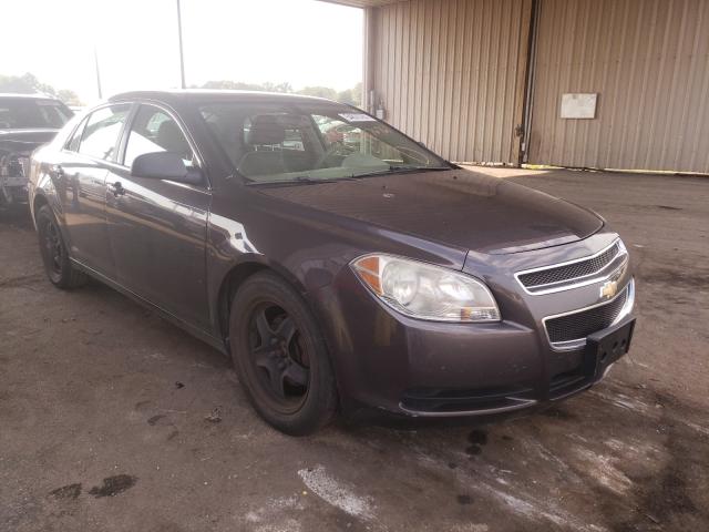 CHEVROLET MALIBU LS 2010 1g1zb5eb5af226597