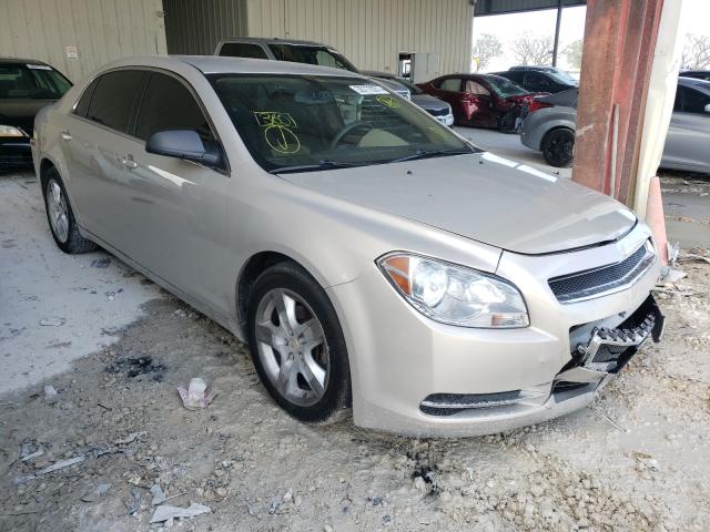 CHEVROLET MALIBU LS 2010 1g1zb5eb5af231122