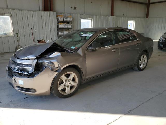 CHEVROLET MALIBU 2010 1g1zb5eb5af233596