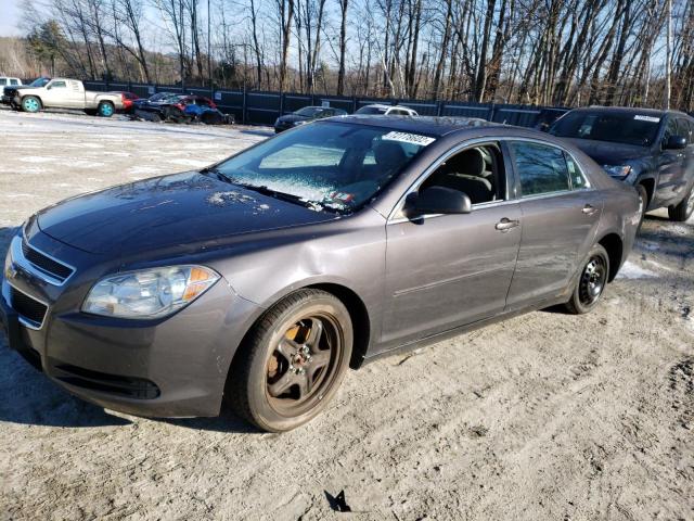 CHEVROLET MALIBU LS 2010 1g1zb5eb5af243559