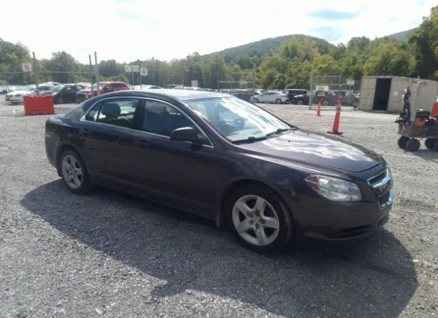 CHEVROLET MALIBU 2010 1g1zb5eb5af248146