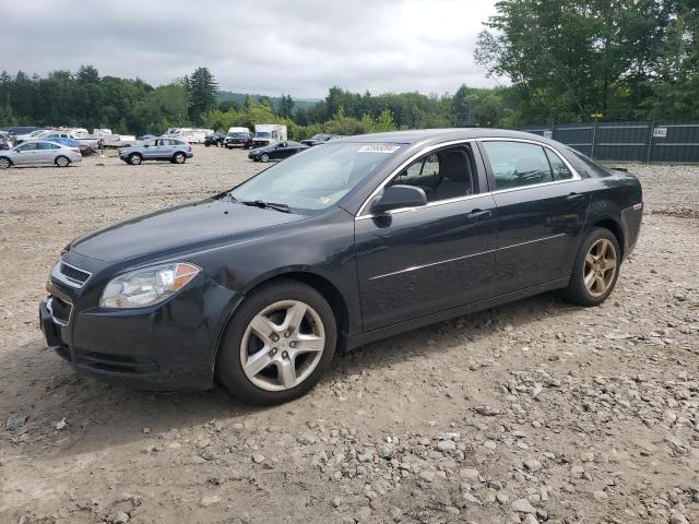 CHEVROLET MALIBU 2010 1g1zb5eb5af262144