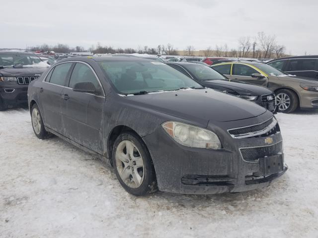 CHEVROLET MALIBU LS 2010 1g1zb5eb5af262631