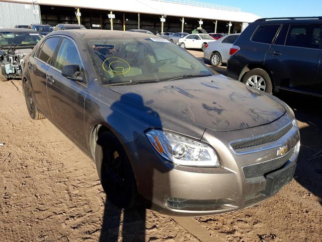 CHEVROLET MALIBU LS 2010 1g1zb5eb6af134835