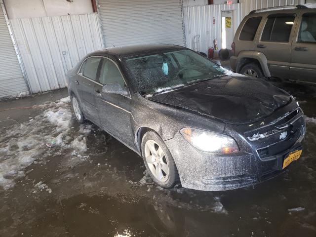 CHEVROLET MALIBU LS 2010 1g1zb5eb6af192766