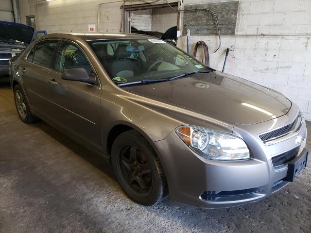 CHEVROLET MALIBU LS 2010 1g1zb5eb6af218055