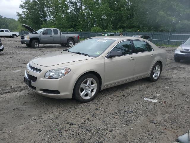 CHEVROLET MALIBU LS 2010 1g1zb5eb6af224017