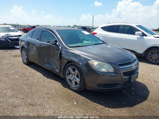 CHEVROLET MALIBU 2010 1g1zb5eb6af293810