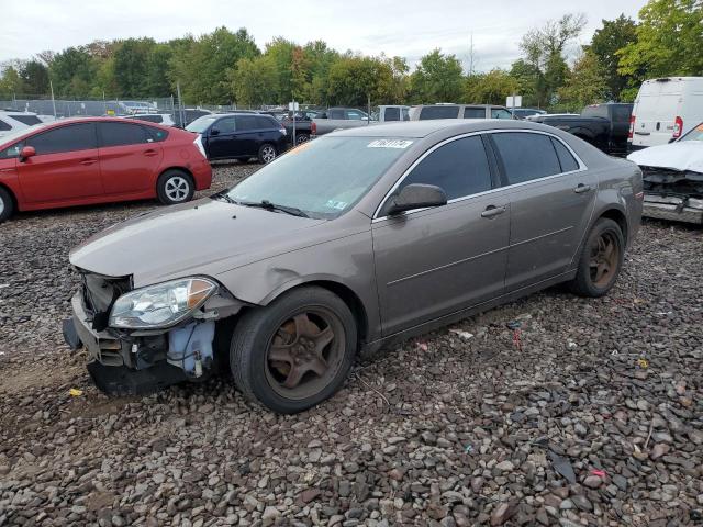 CHEVROLET MALIBU LS 2010 1g1zb5eb6af302909