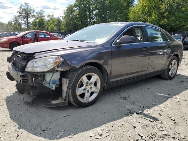 CHEVROLET MALIBU LS 2010 1g1zb5eb7a4156435