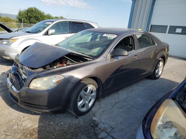 CHEVROLET MALIBU LS 2010 1g1zb5eb7a4165796