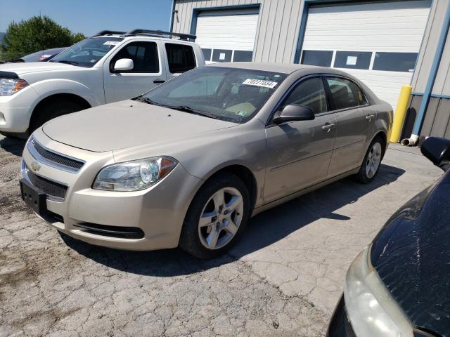 CHEVROLET MALIBU LS 2010 1g1zb5eb7af104419